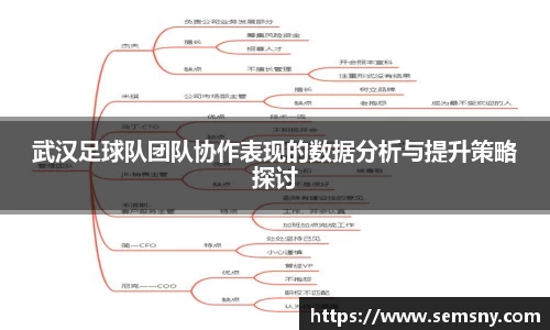 武汉足球队团队协作表现的数据分析与提升策略探讨